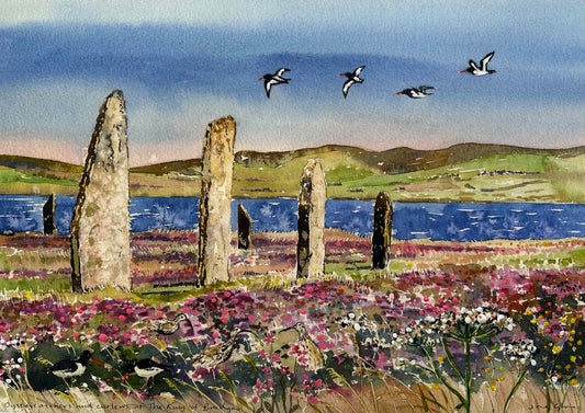 Hand finished print A3 size unframed/Oystercatchers and curlews at The Ring of Brodgar