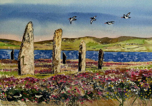 Hand finished print A4 size unframed/Oystercatchers and curlews at The Ring of Brodgar