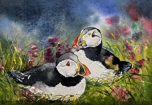 Hand finished print A4 size unframed/Tammies Norries(Puffins)