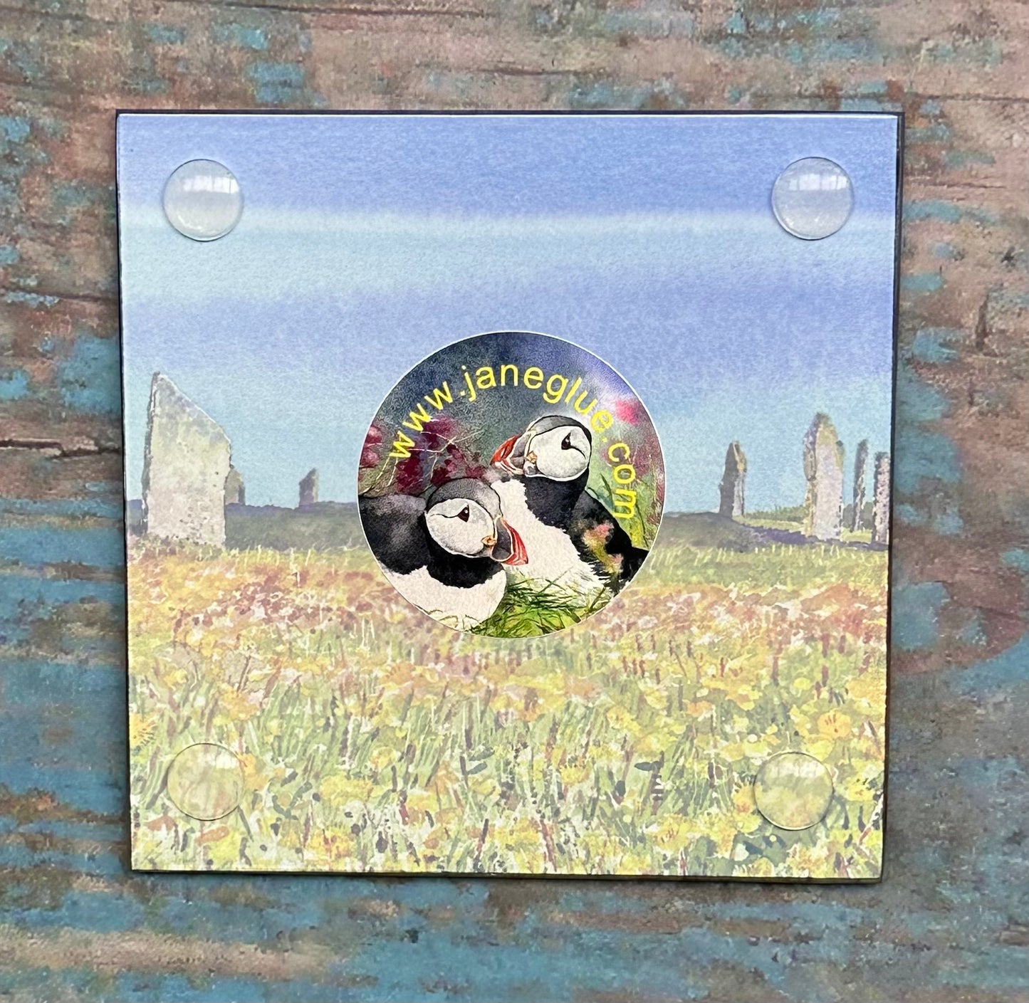 Glass coaster/Dandelions at The Ring of Brodgar