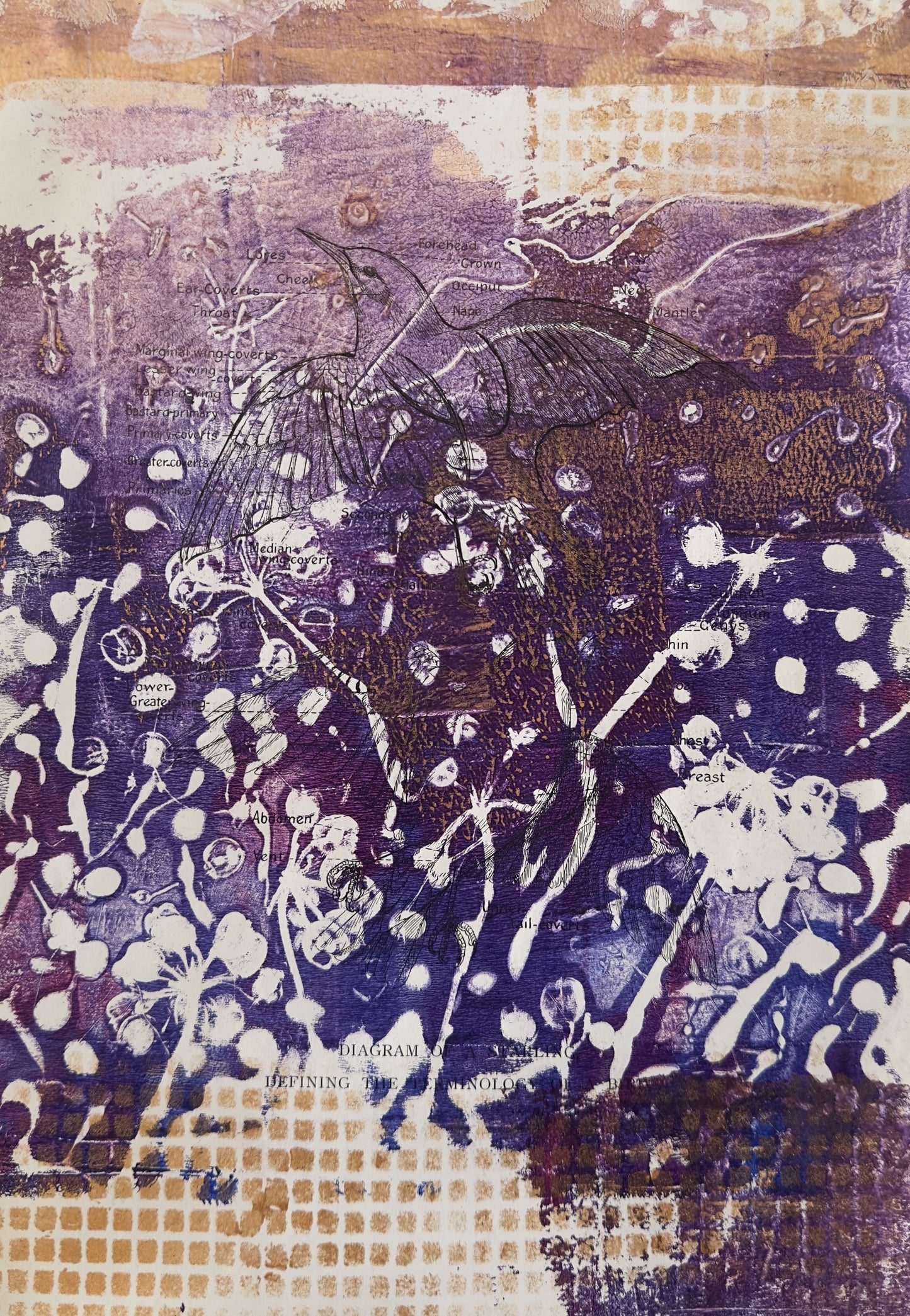 Original painting/Fly high, Blackbird fly high