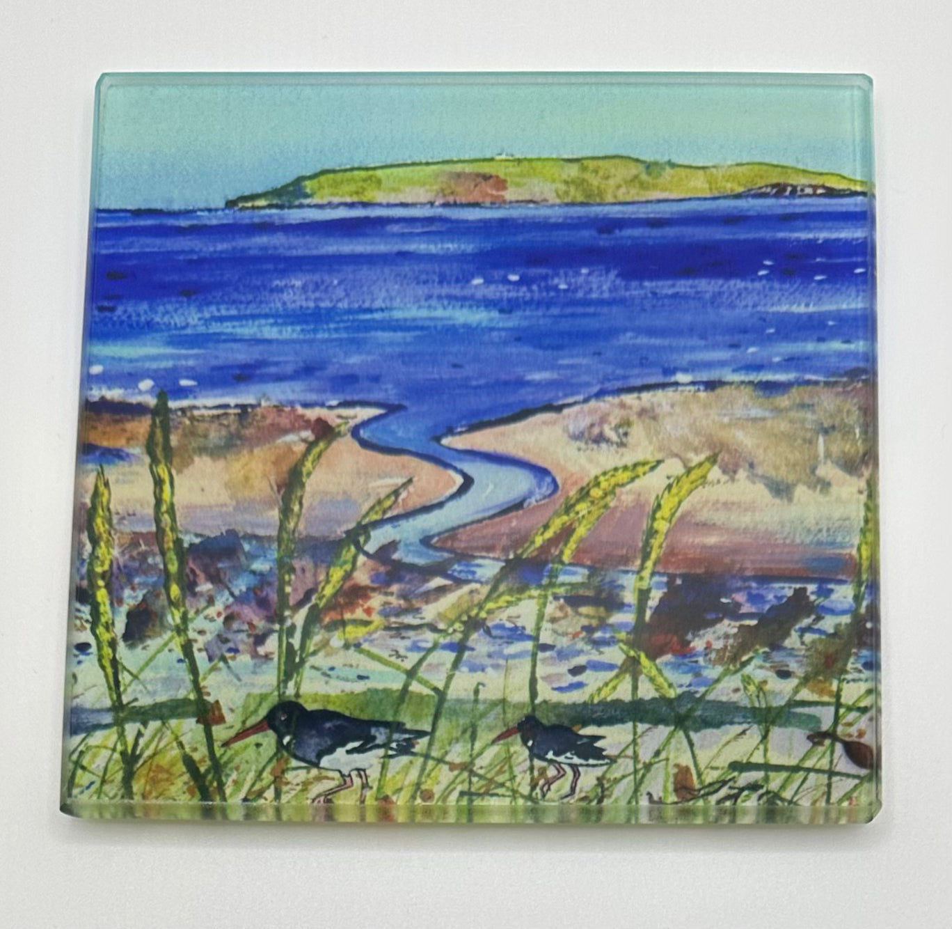 Glass coaster/Seagrass and Oystercatchers