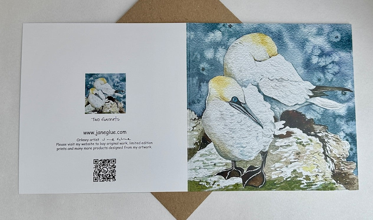 Large Card - Two gannets