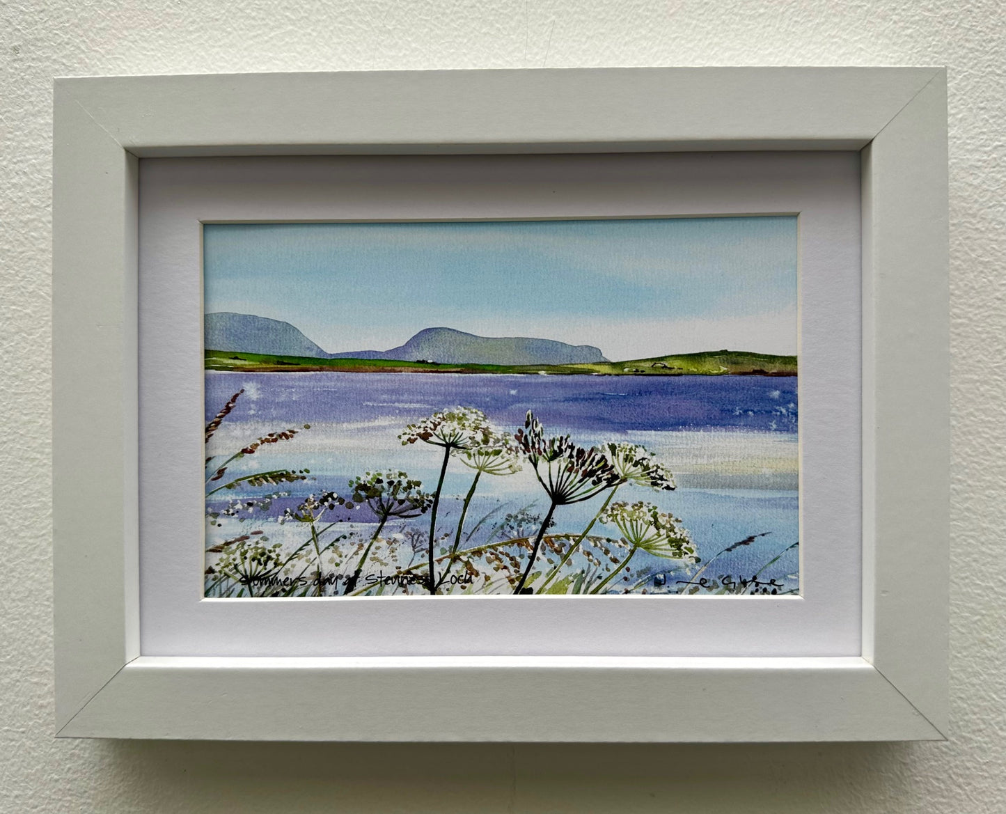 Small framed print/Summers day at stenness loch
