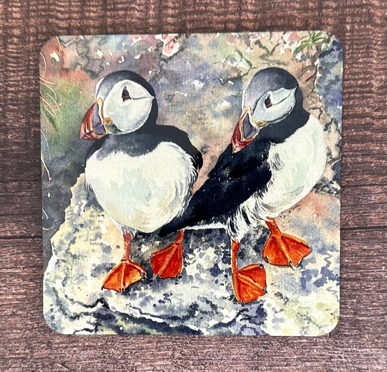 Coaster/Puffin twins