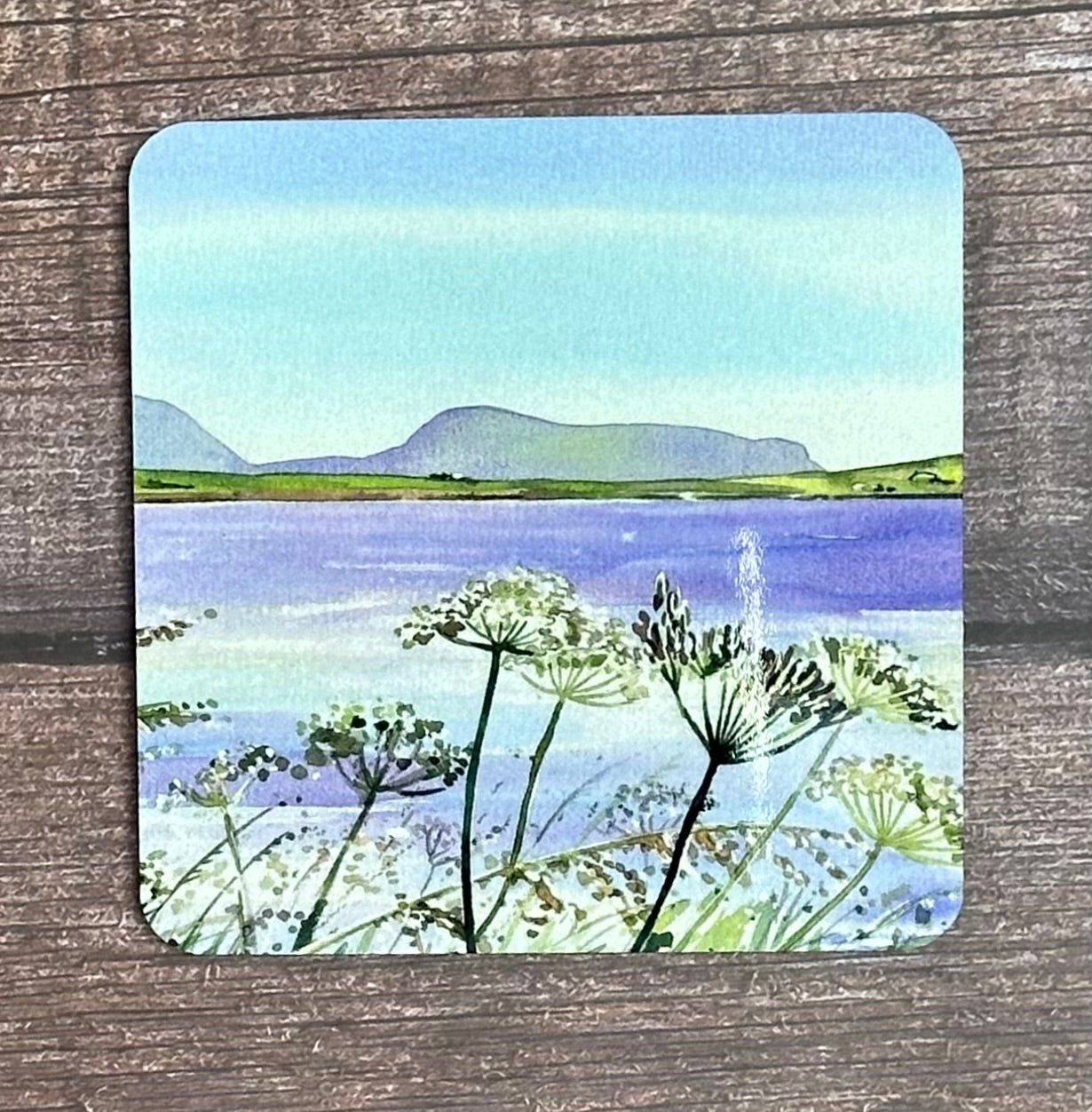Coaster/Summers day at Stenness loch