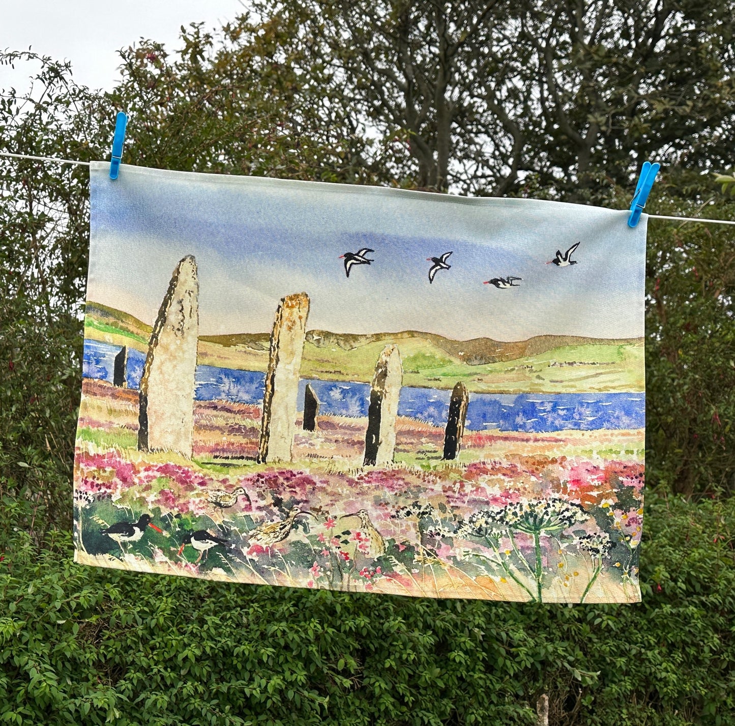 T- towel/ Oystercatchers and curlews at The Ring of Brodgar