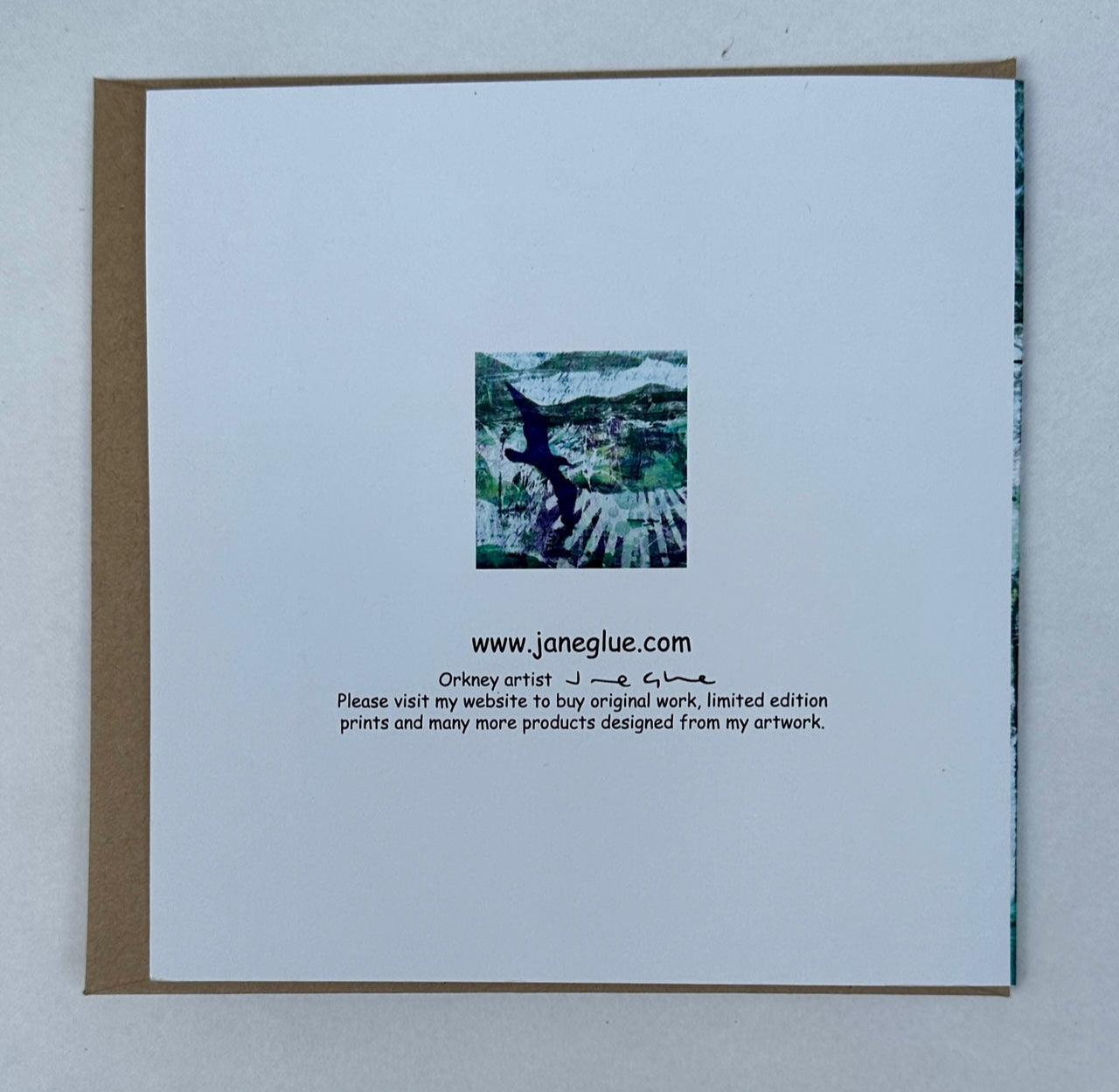 Large Card - Purple gull