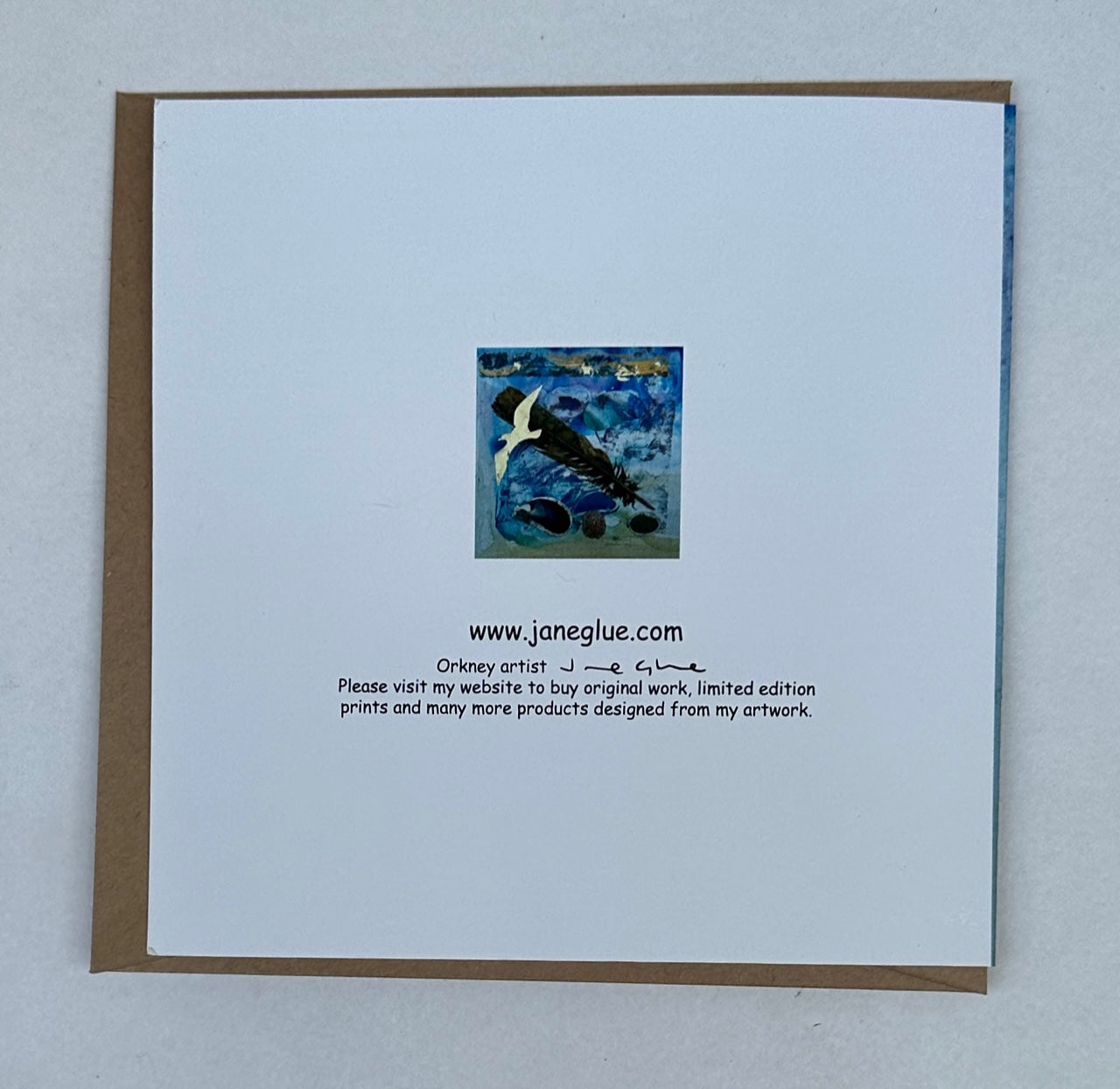 Large Card - Mussel Limpet feather gull stone sea
