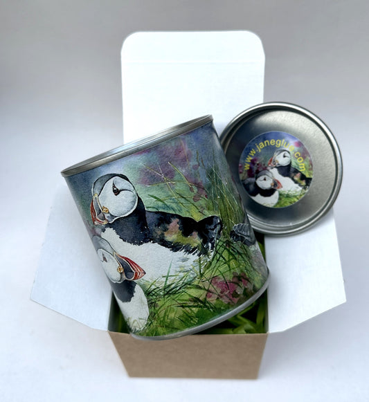 candle in a tin with a watercolour painting of two puffins