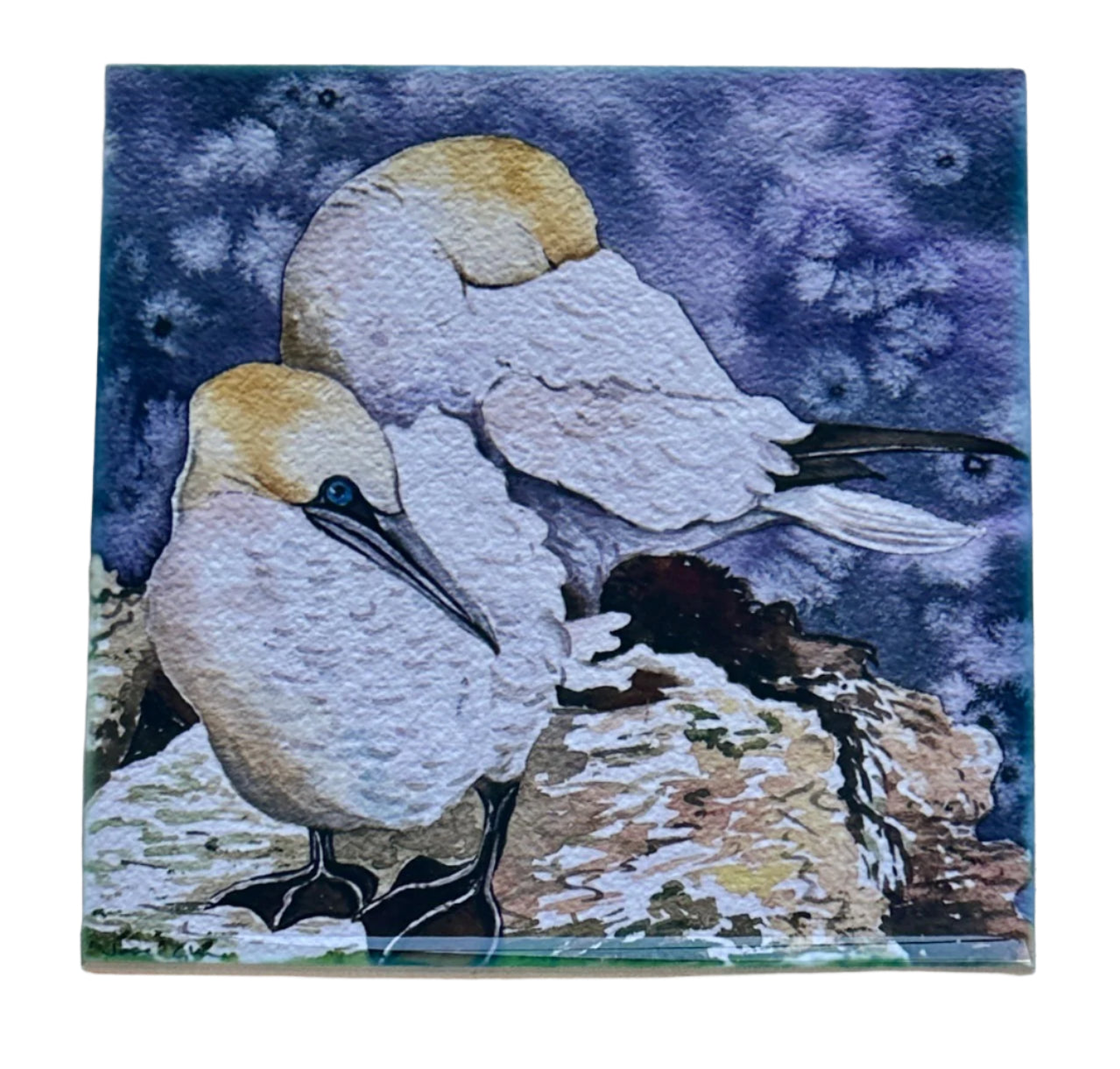Medium ceramic tile/Two gannets
