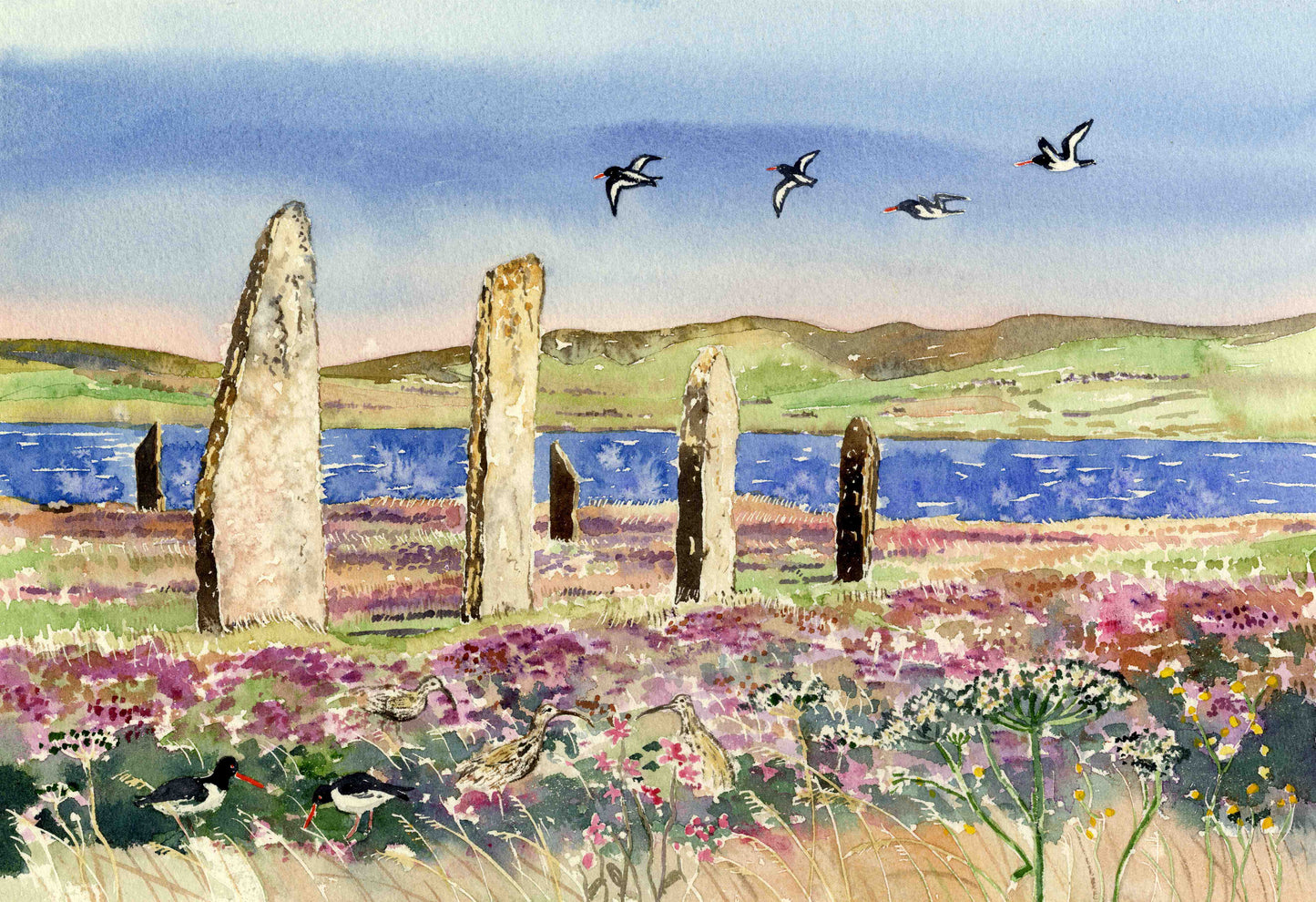 a watercolour painting of the ring of brodgar in Orkney with Harray loch in the background, oystercatchers flying in the sky and curlews in the purple heather below