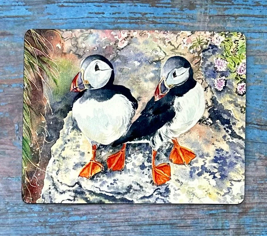Tablemat/Puffin twins