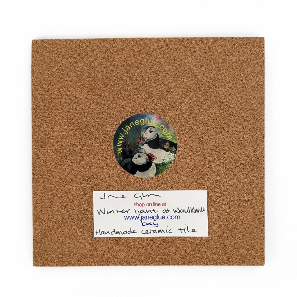 Medium ceramic tile/Winter light at Waulkmill bay