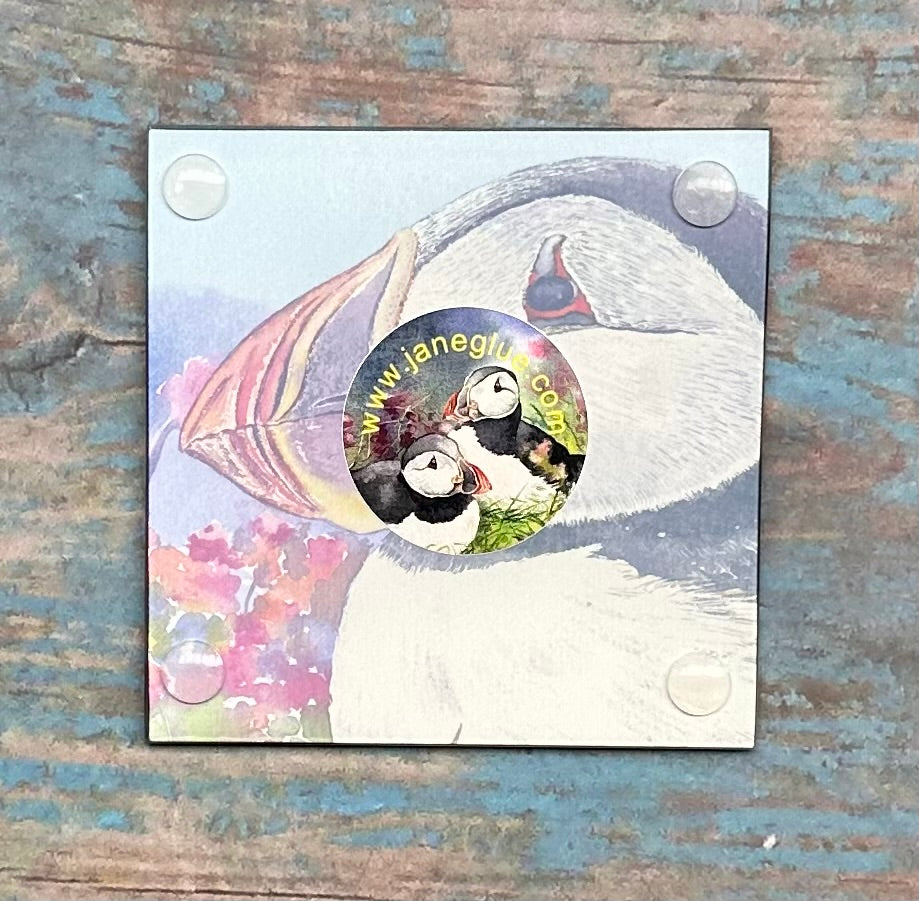 Glass coaster/Close up with a puffin