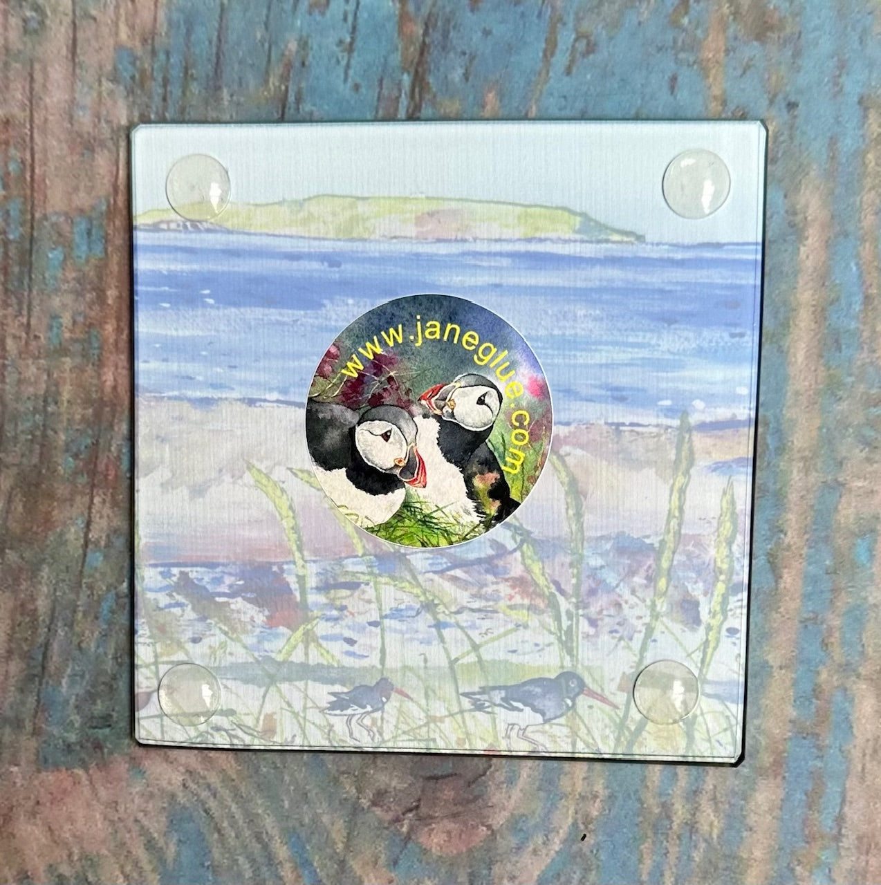 Glass coaster/Seagrass and Oystercatchers