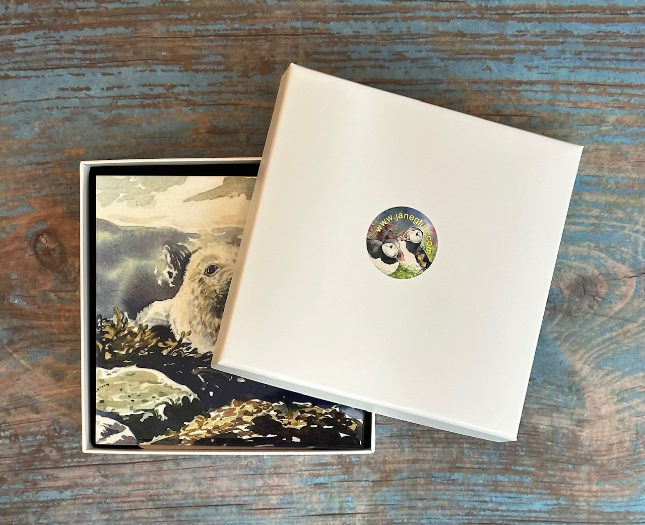 Medium ceramic tile/Baby seal