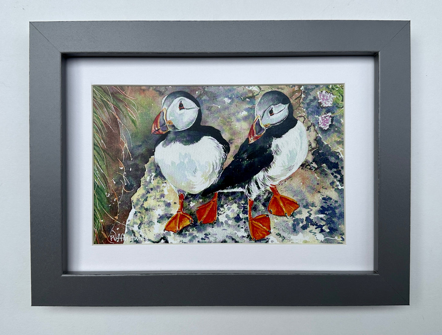 Small framed print/Puffin twins