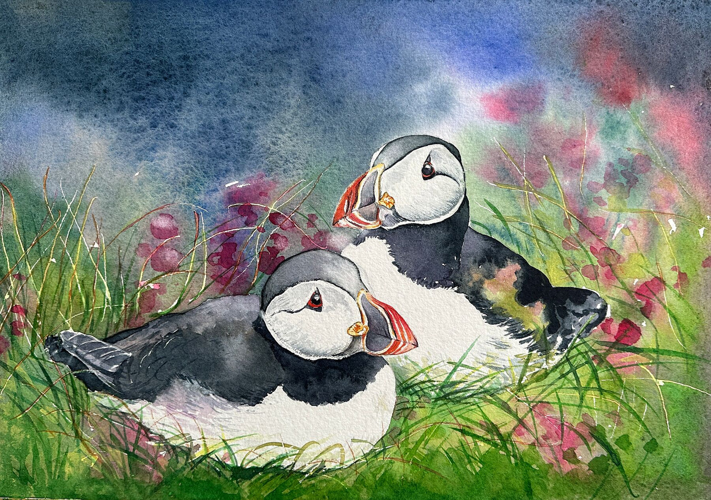 limited edition print from a watercolour painting of two puffins sitting in the long grass with pink wildflowers and blue sea in the background