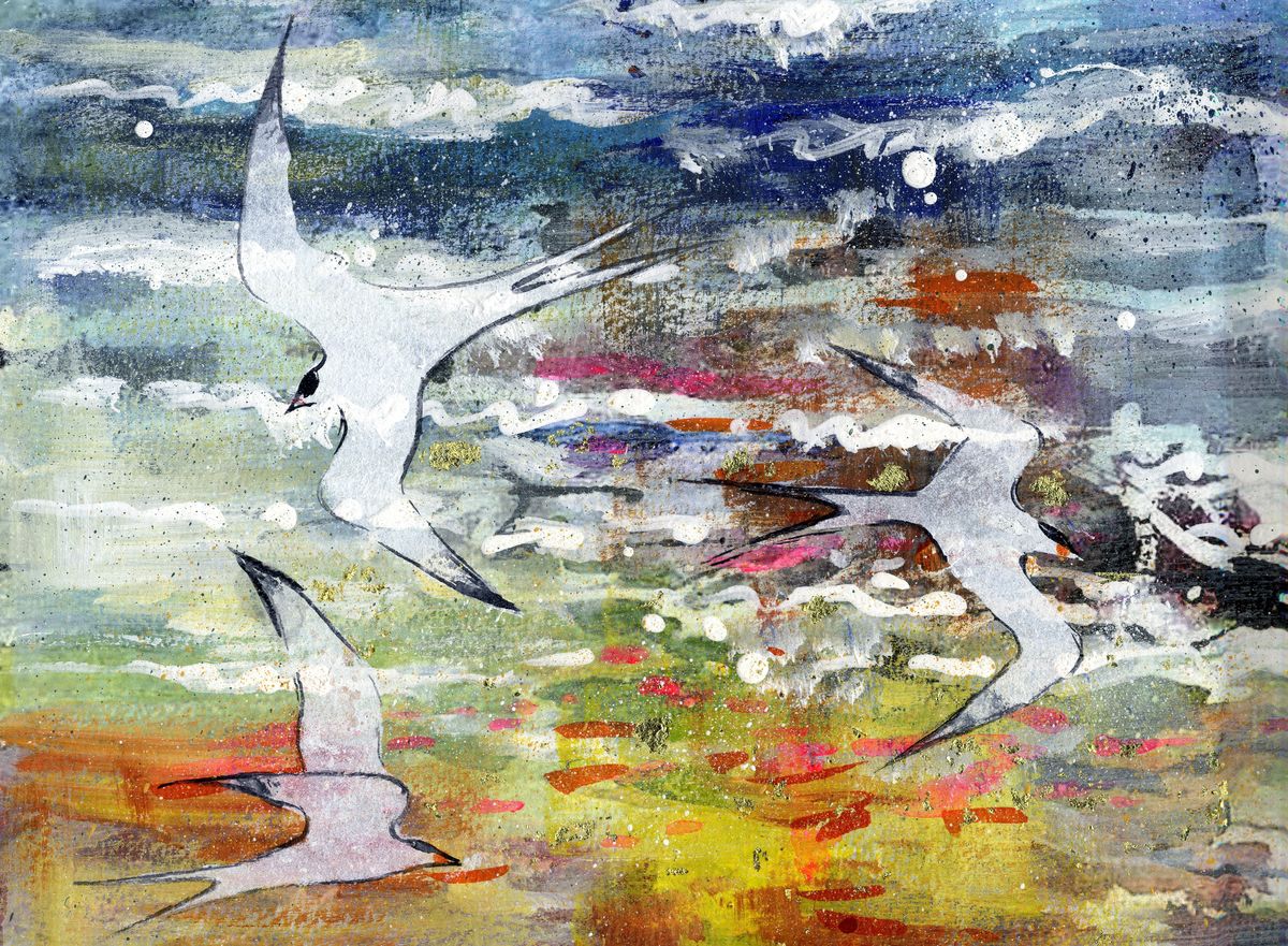 Limited edition print/Three terns