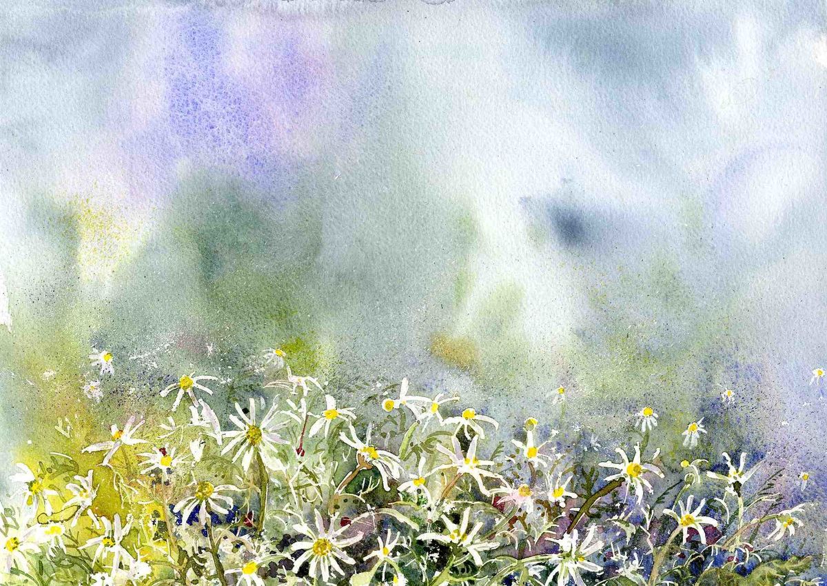 Limited edition print/Summer Daisies