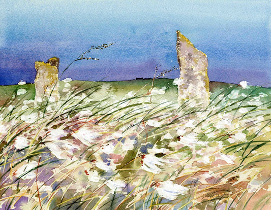 Limited edition print/Wild cotton at The Ring of Brodgar, Orkney