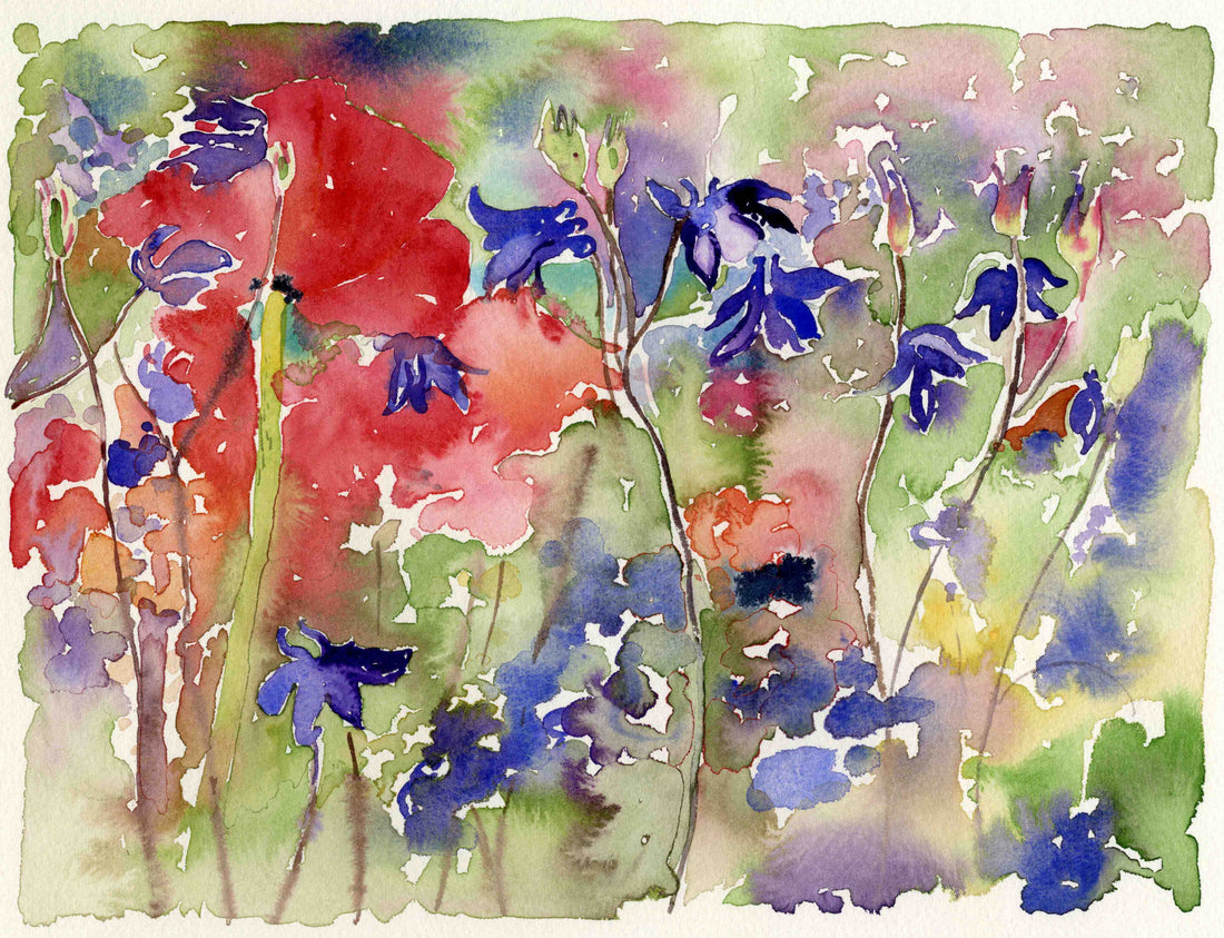 Poppies and columbines, a watercolour painting by jane Glue