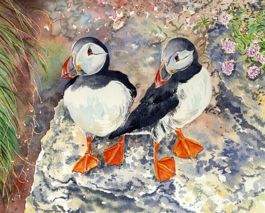 A watercolour painting of two puffins standing together on a cliff in Westray by Orkney artist Jane Glue, Scotland
