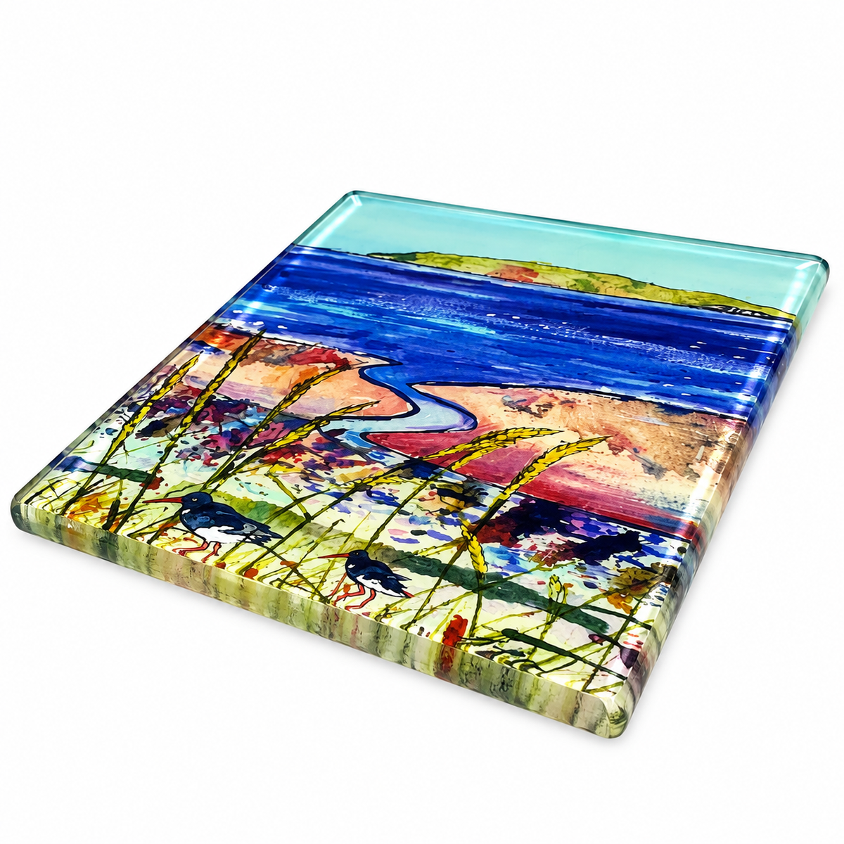 Glass coaster/Seagrass and Oystercatchers
