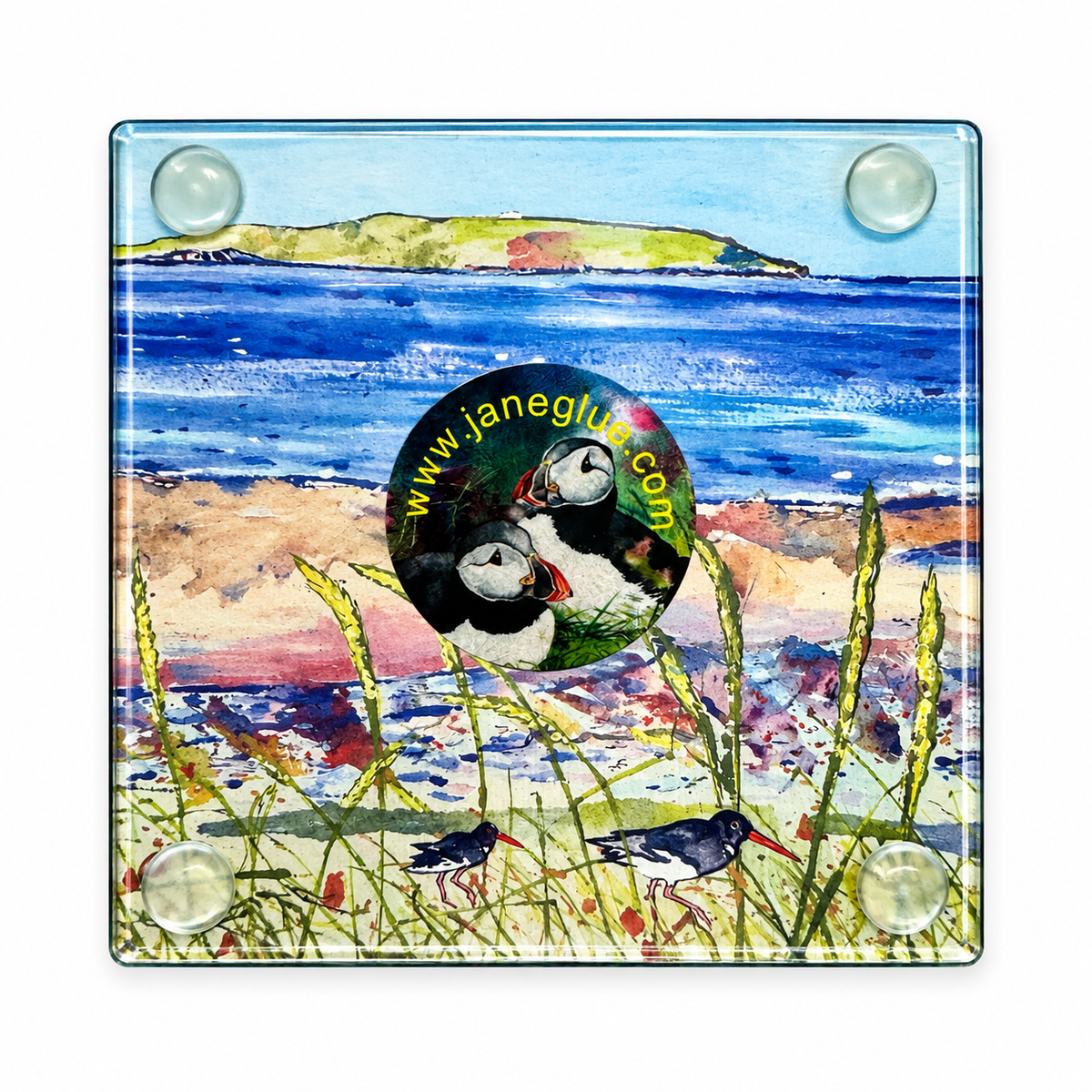 Glass coaster/Seagrass and Oystercatchers
