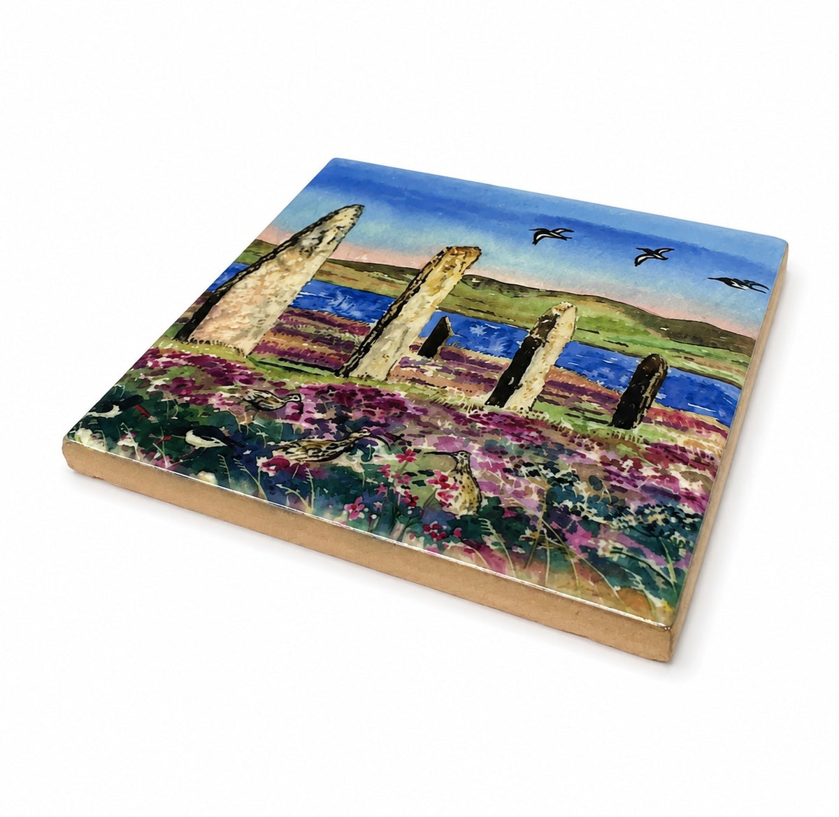 Small ceramic tile/Oystercatchers and curlews at The Ring of Brodgar