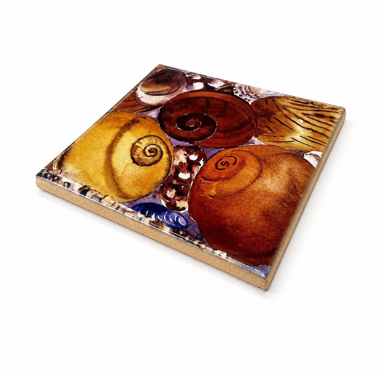 Small ceramic tile/Winkles and sea urchin