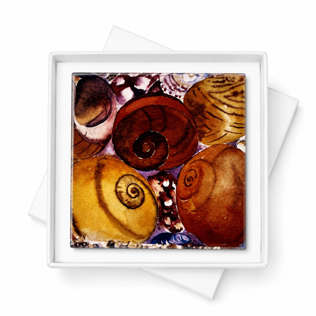 Small ceramic tile/Winkles and sea urchin