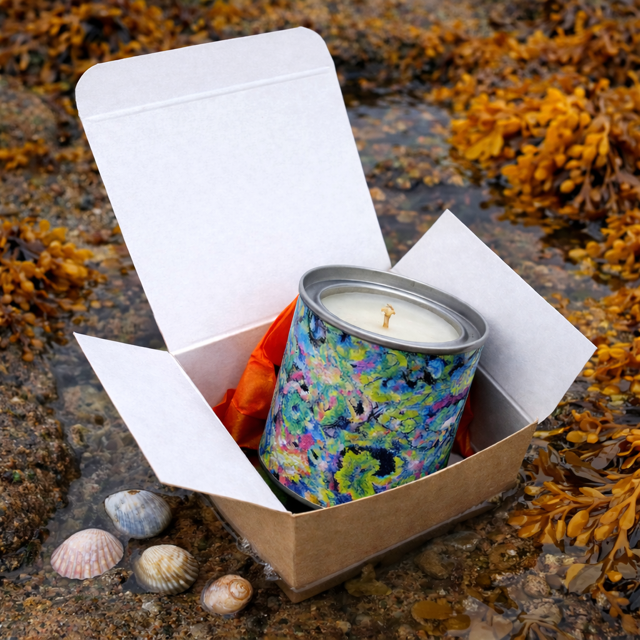 Small candle in a tin/Rockpool