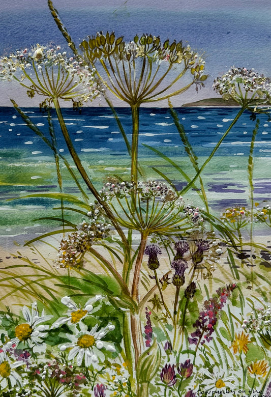 Hand finished print A4 size unframed/Cow parsley on the shoreline