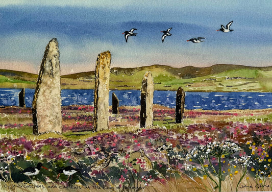 Hand finished print A4 size unframed/Oystercatchers and curlews at The Ring of Brodgar