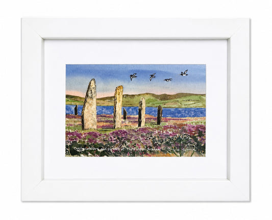 Small framed print/Oystercatchers and curlews at The Ring of Brodgar