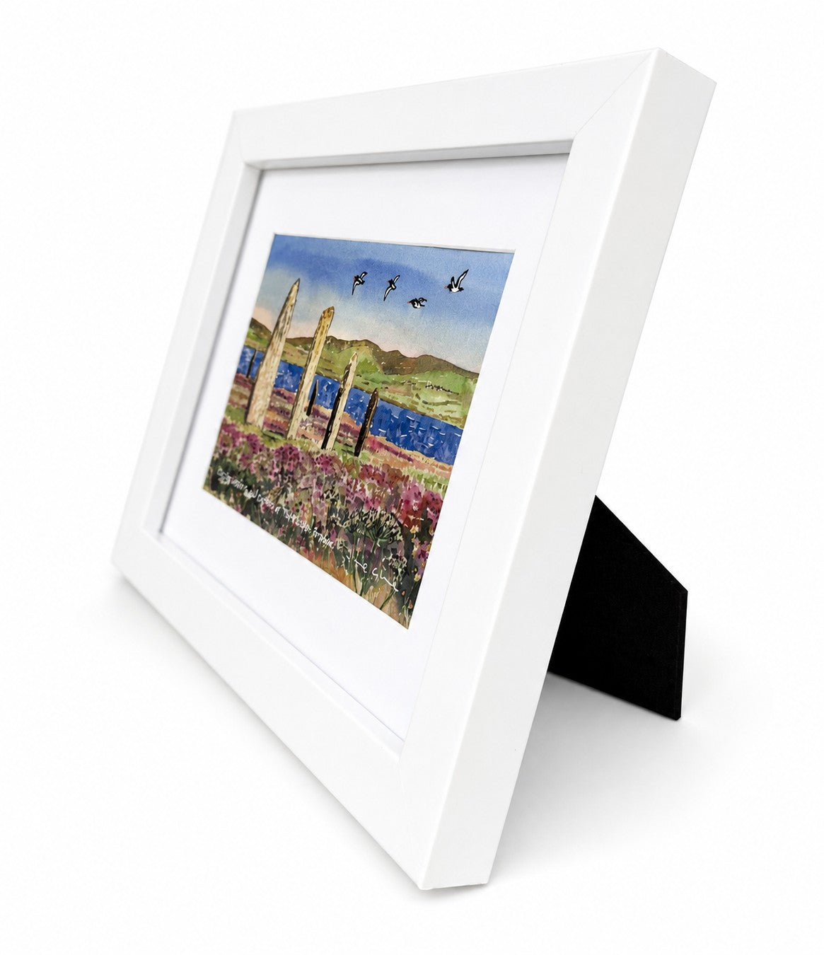 Small framed print/Oystercatchers and curlews at The Ring of Brodgar