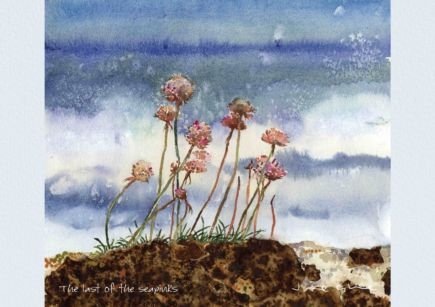 Pack of Three Jane Glue 2027 Orkney Wall Calendars