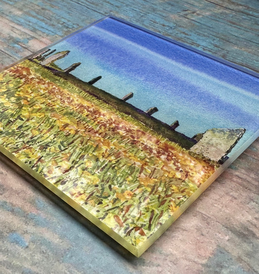 Glass coaster/Dandelions at The Ring of Brodgar