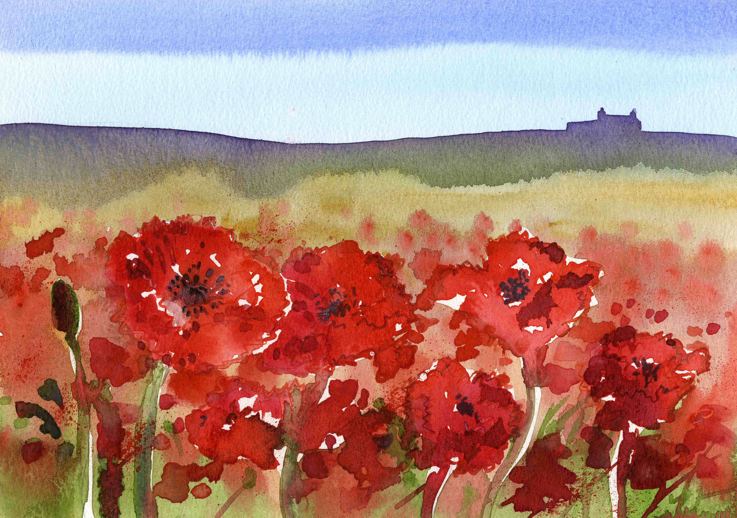 Canvas print/Poppy field