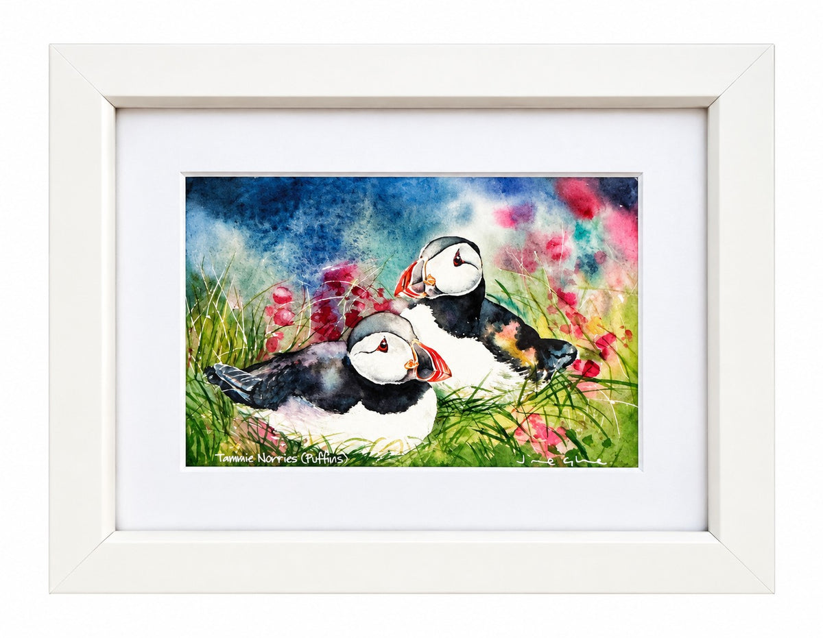 Small framed print/Tammie Norries(Puffins)