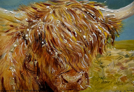 Hand finished A4 print/Hamish the highland coo