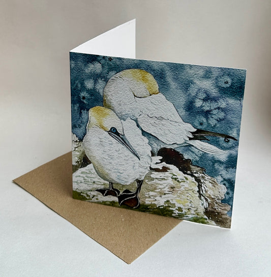 Large Card - Two gannets