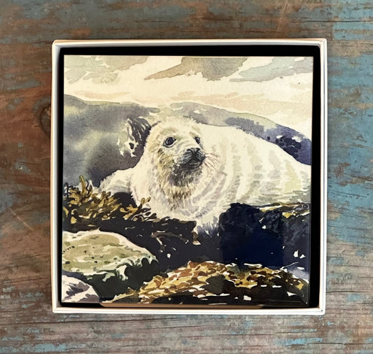 Medium ceramic tile/Baby seal