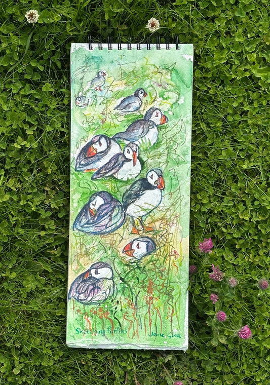NEW! Original watercolour painting/Sketching Puffins