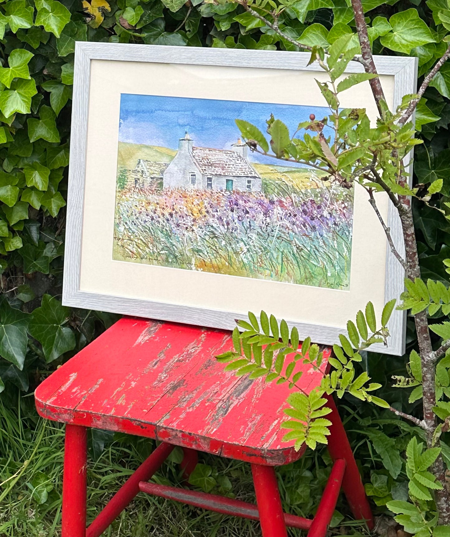 NEW! Original watercolour painting/Cottage and purple thistles, Westray