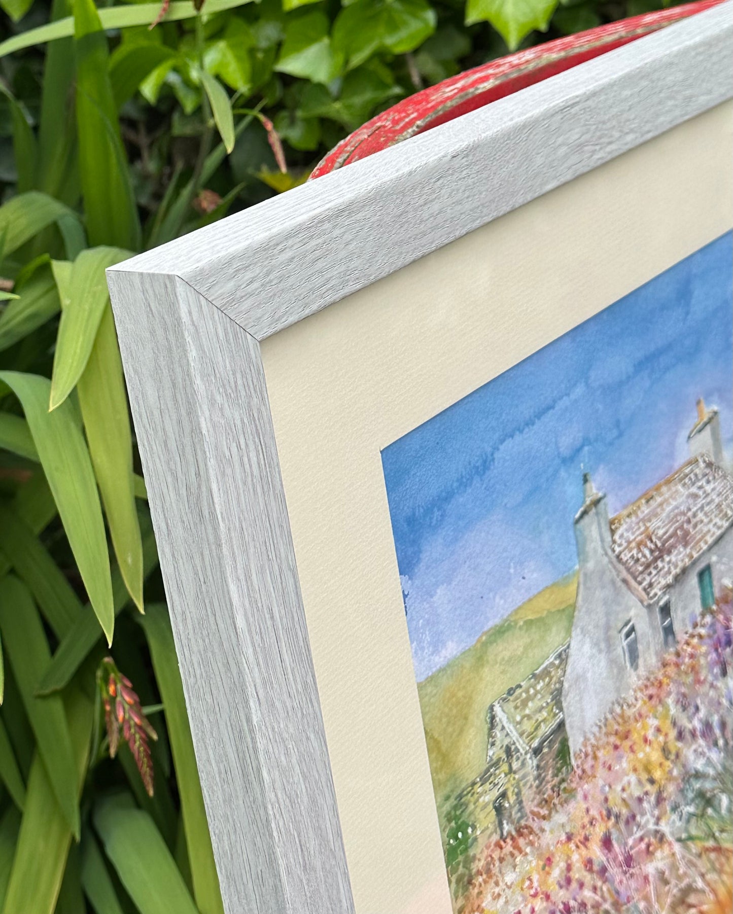 NEW! Original watercolour painting/Cottage and purple thistles, Westray