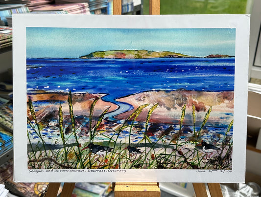 Limited edition print/Seagrass and Oystercatchers, Deerness, Orkney