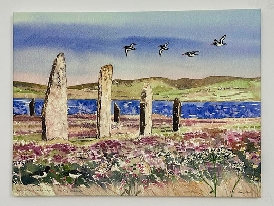 Canvas print/Oystercatchers and curlews at The Ring of Brodgar